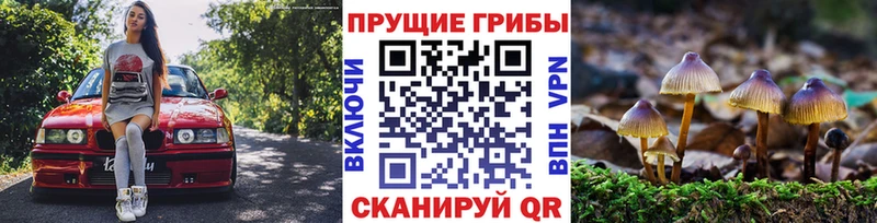Псилоцибиновые грибы Magic Shrooms  МЕГА зеркало  Костомукша 